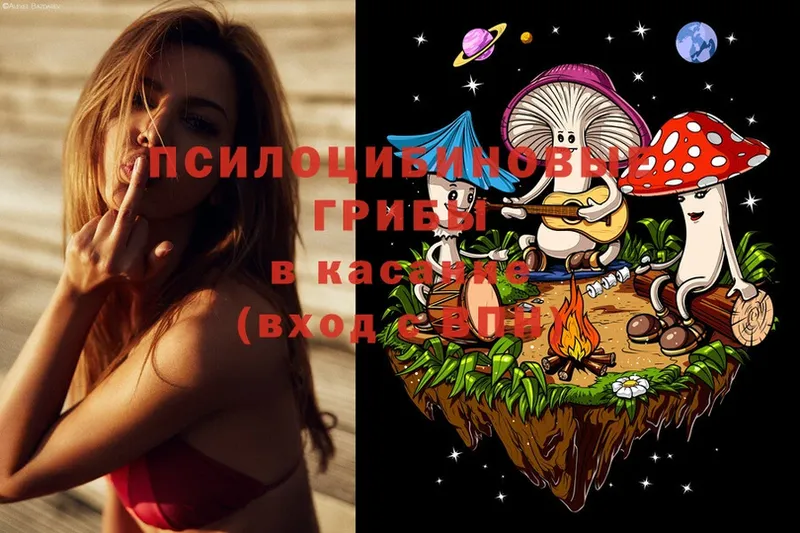 Галлюциногенные грибы Magic Shrooms  блэк спрут зеркало  Нижнекамск  маркетплейс клад  как найти закладки 